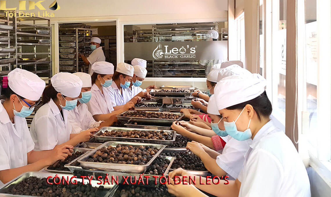 Công Ty Sản Xuất Tỏi Đen Leo