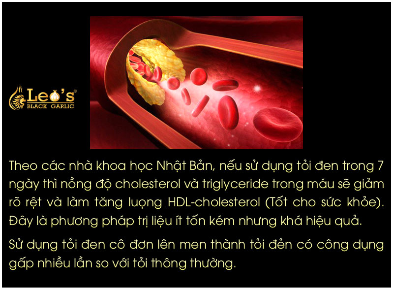 Tác dụng tỏi đen leo giảm cholesterol