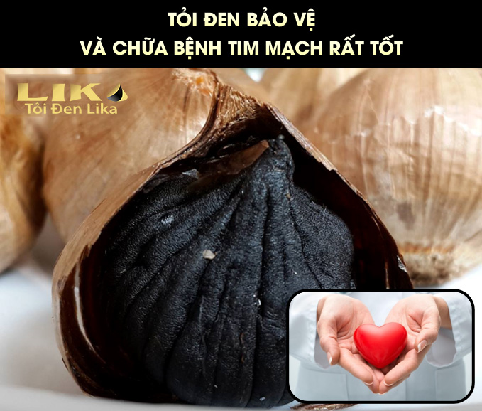 Tỏi đen bảo vệ và chữa bệnh tim mạch rất tốt