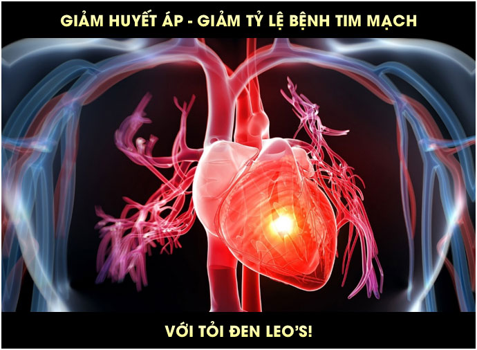 Tỏi đen có tác dụng gì
