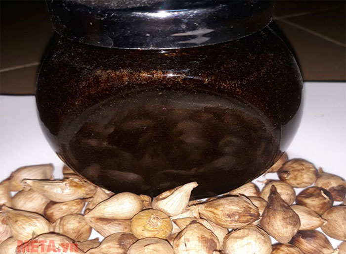 tỏi đen ngâm mật ong bài thuốc quý