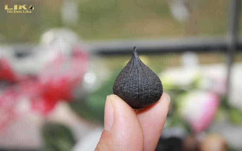 Cách sử dụng nước tỏi đen Hàn Quốc hiệu quả