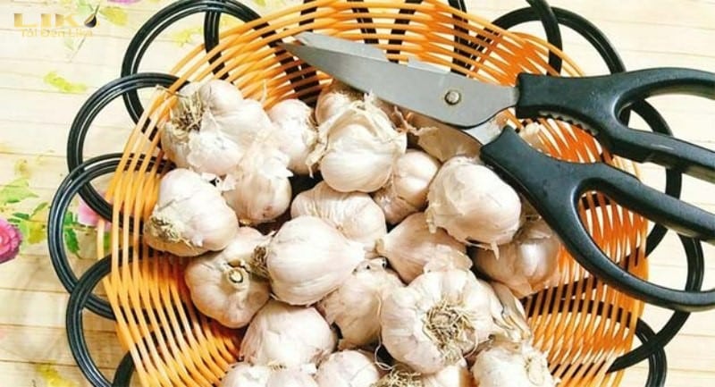 Cắt bỏ phần cuống dài của tỏi đi để dễ dàng ủ