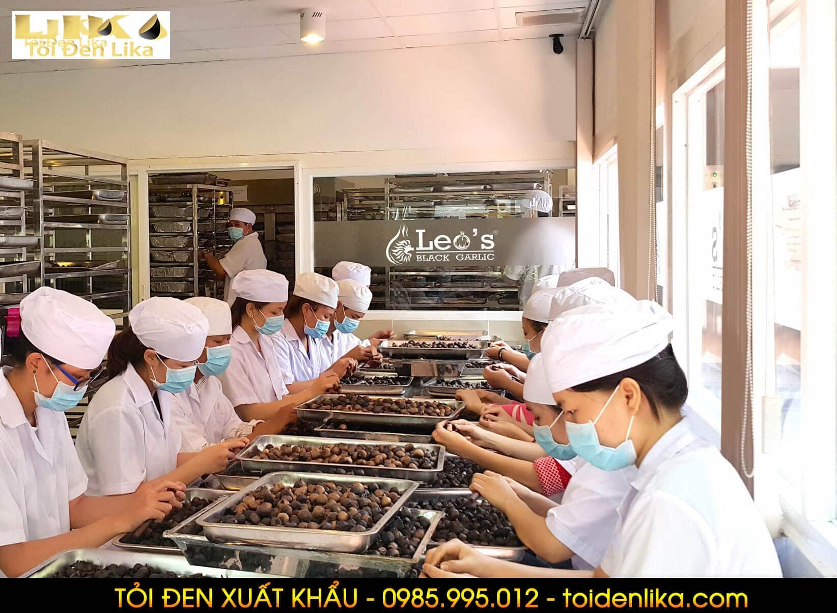 Chỗ uy tín để mua tỏi đen ở TPHCM