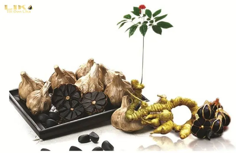 Dưỡng chất có trong Tỏi đen Sâm Ngọc Linh