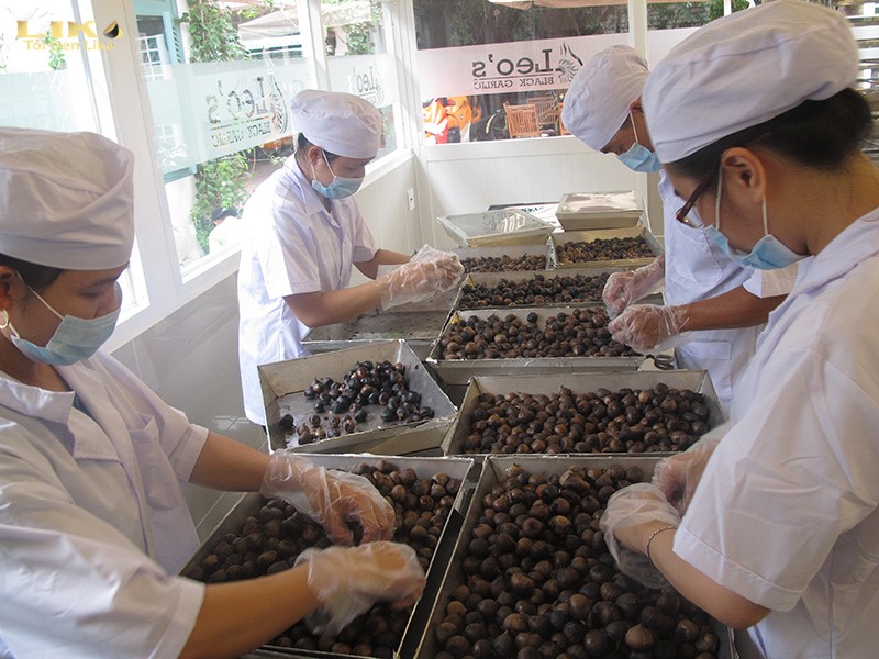 Nên mua Tỏi đen Hoshi hay Tỏi đen LEO’S