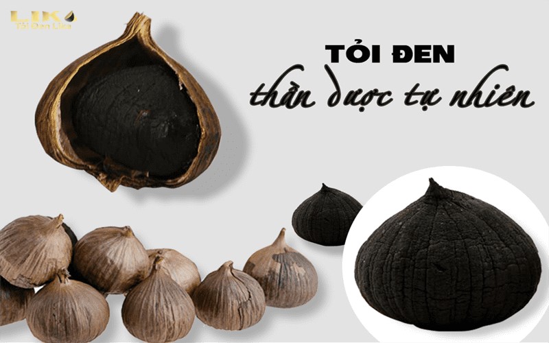 Tỏi đen ở Sơn La được dùng để sản xuất Tỏi đen Hoshi