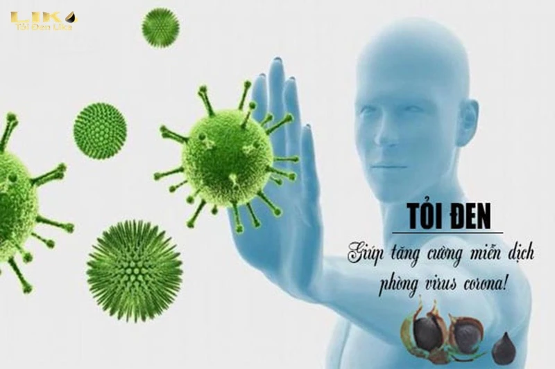 Ăn tỏi đen tăng cường hệ miễn dịch