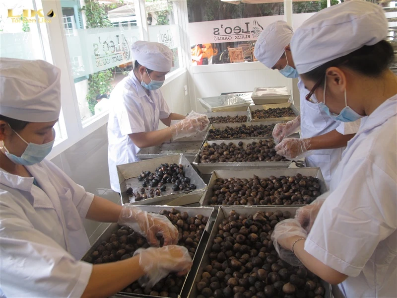 Quy trình sản xuất tỏi đen xuất khẩu đạt chuẩn ở Tỏi đen Lika