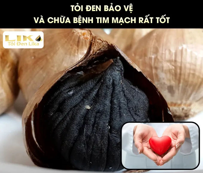 Tỏi đen tốt cho tim mạch