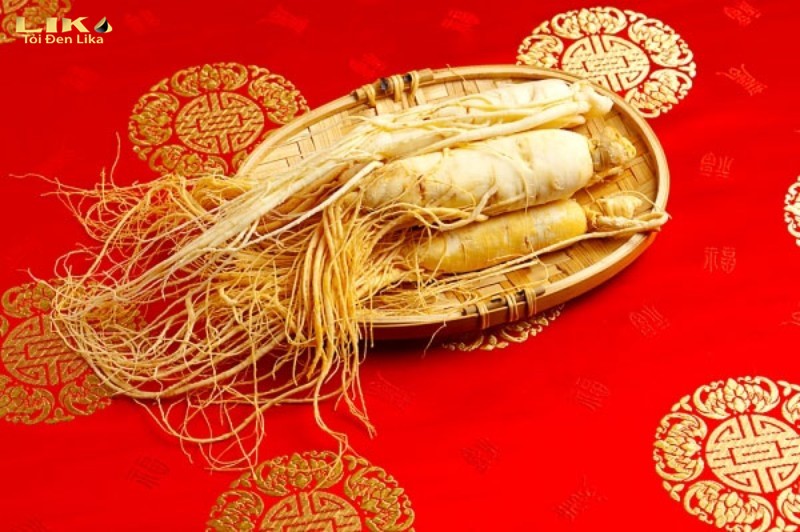 Nhân sâm Hàn Quốc có nhiều công dụng tốt cho cơ thể