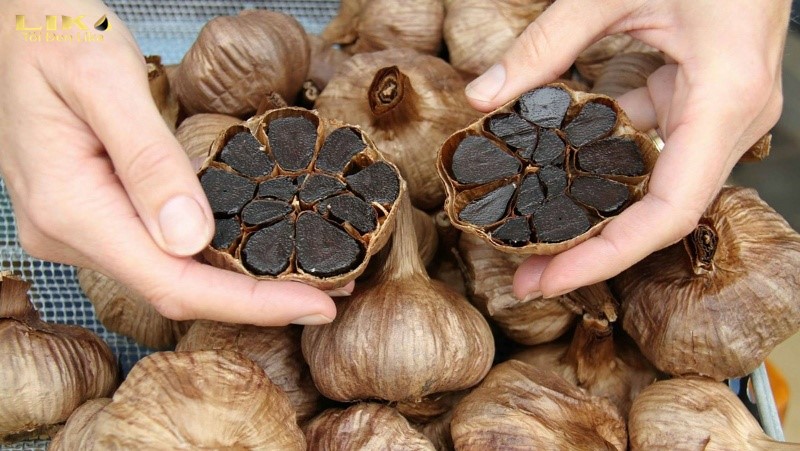 Tỏi đen chỉ có tác dụng hỗ trợ bệnh suy thận chứ không thay thế thuốc chữa bệnh