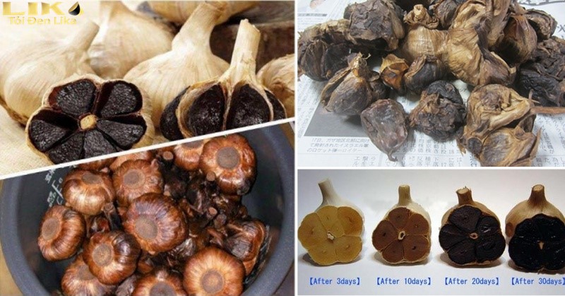 Cần thường xuyên kiểm tra quá trình lên men tỏi đen