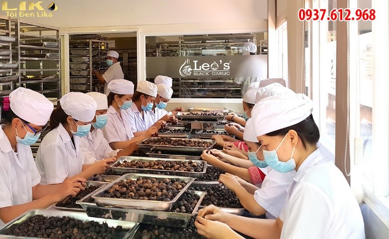Tỏi đen Lika - địa chỉ cung cấp tỏi đen Leo’s giá rẻ, chất lượng, uy tín