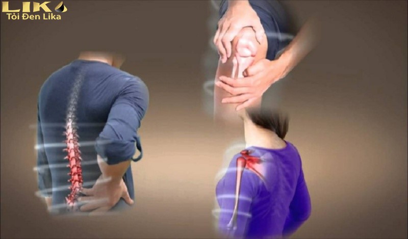 Tỏi đen có công dụng hỗ trợ các bệnh liên quan đến xương khớp