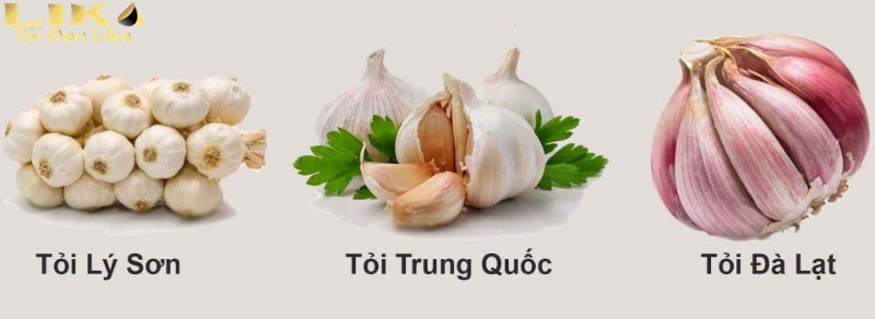 Cần tìm hiểu kỹ trước khi mua tỏi cô đơn Lý Sơn để tránh mua tỏi kém chất lượng