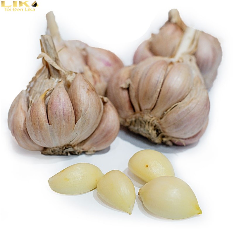 Tỏi Bắc Giang nức danh Việt Nam