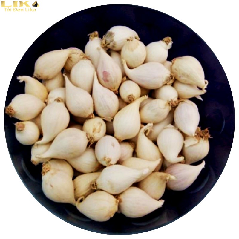 Tỏi cô đơn Lý Sơn chính gốc và an toàn