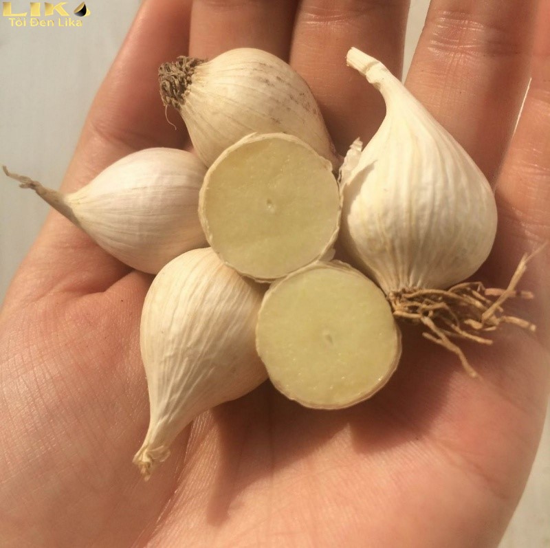 Tỏi cô đơn tại sao có giá thành cao?