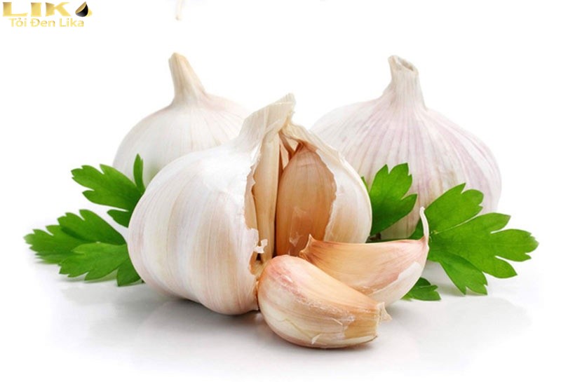 Tỏi giúp thanh lọc các yếu tố độc hại có trong cơ thể
