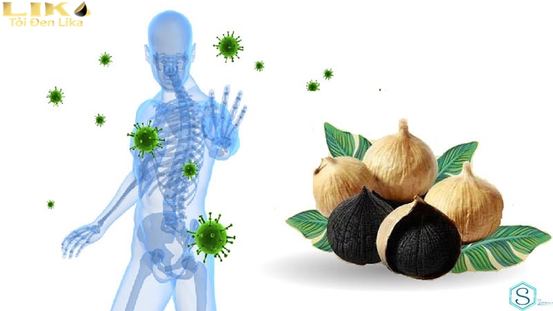Tỏi mọc mầm giúp ngăn ngừa các bệnh lý ung thư