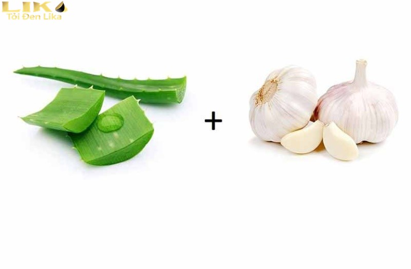 Trị mụn bằng tỏi và nha đam để đem lại hiệu quả cao