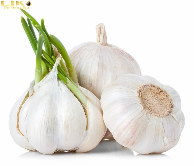 Tỏi mọc mầm có ăn được không?